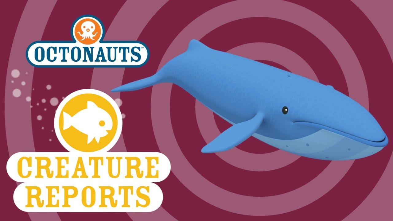 Octonauts: Creature Report - Blue Whale - Brown Bag Labs