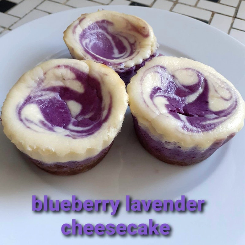 Blueberry lavendar cheesecakes by Charisse Khan