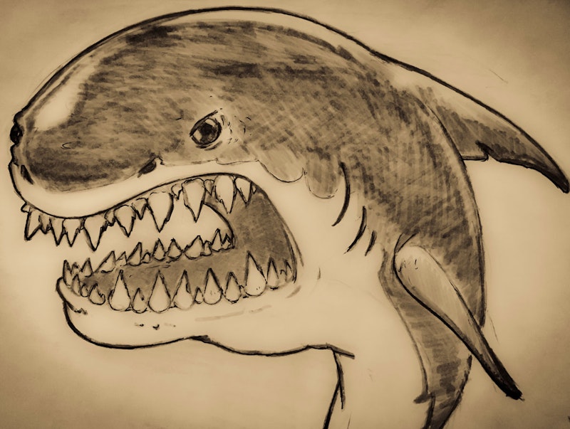Shark Sketch by Animator Paul Guenette