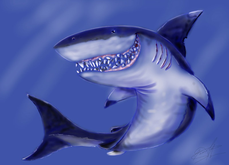 Shark by Director Jennifer Sherman