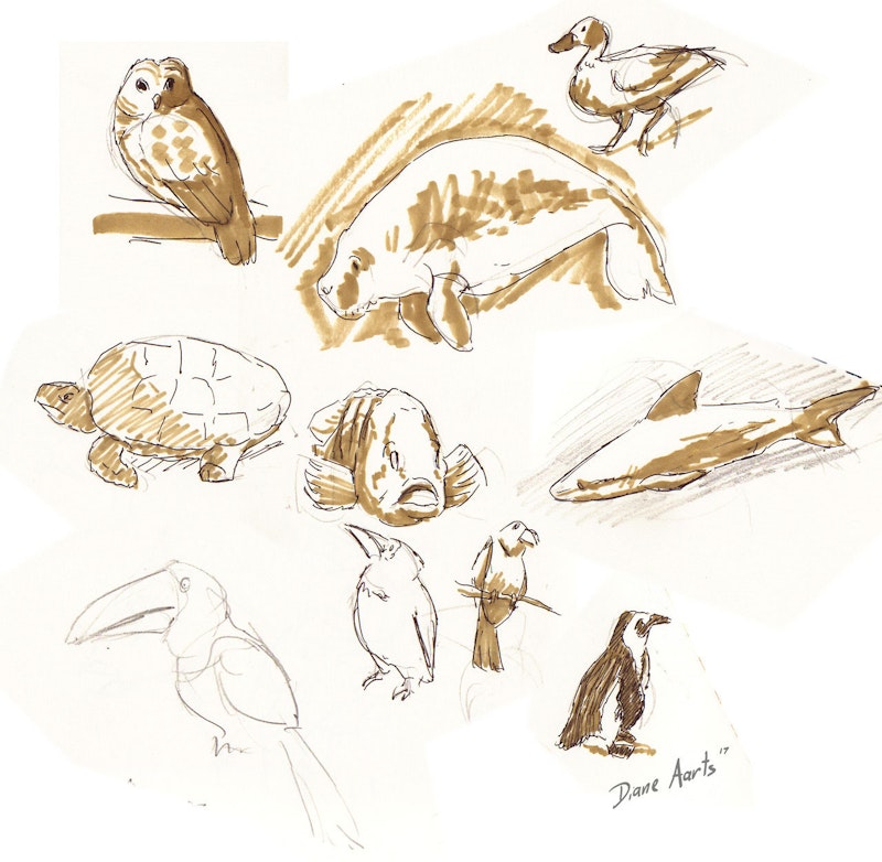 Aquarium sketches by Animation Supervisor Diane Aarts