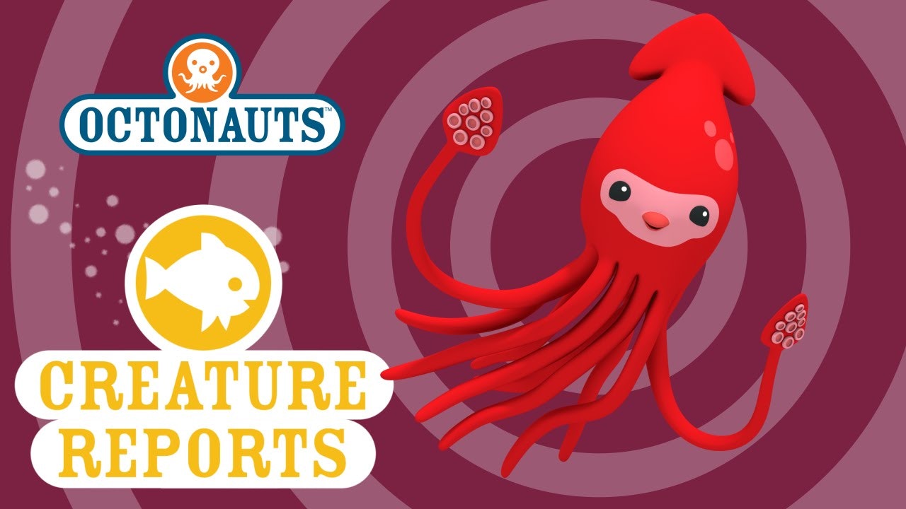 octonauts creature report