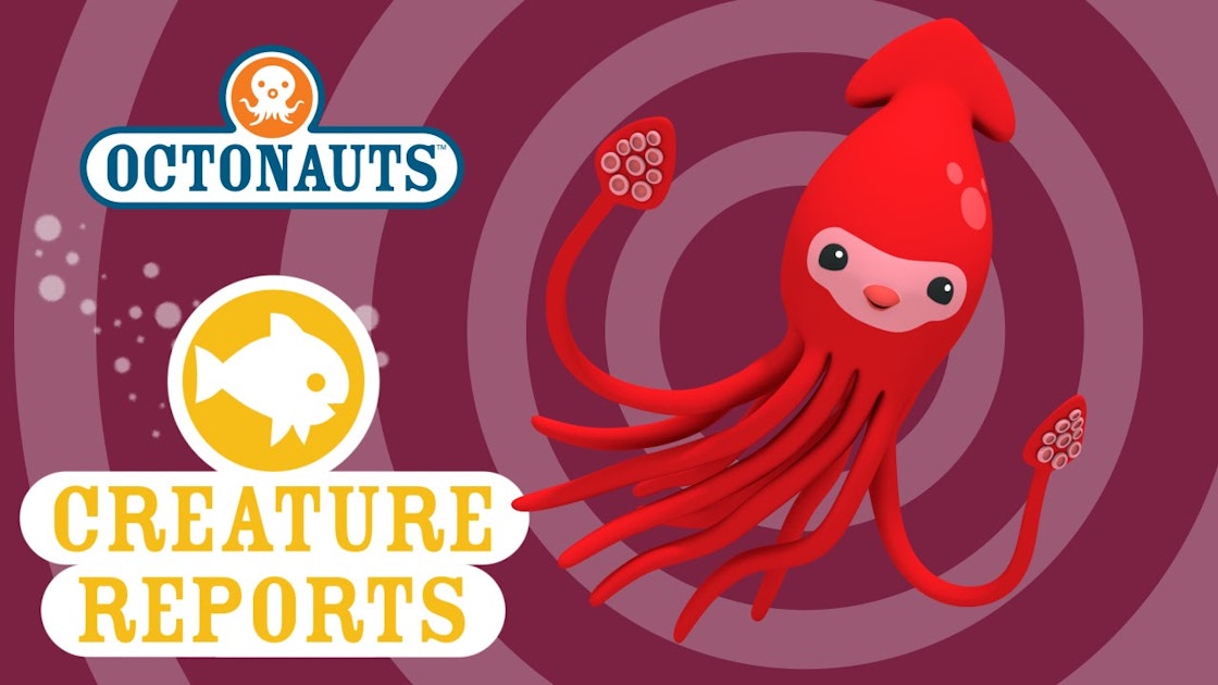 Octonauts: Creature Report - Giant Squid - Brown Bag Labs