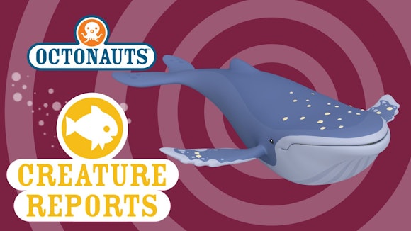 Octonauts: Creature Report - Humpback Whale - Brown Bag Labs