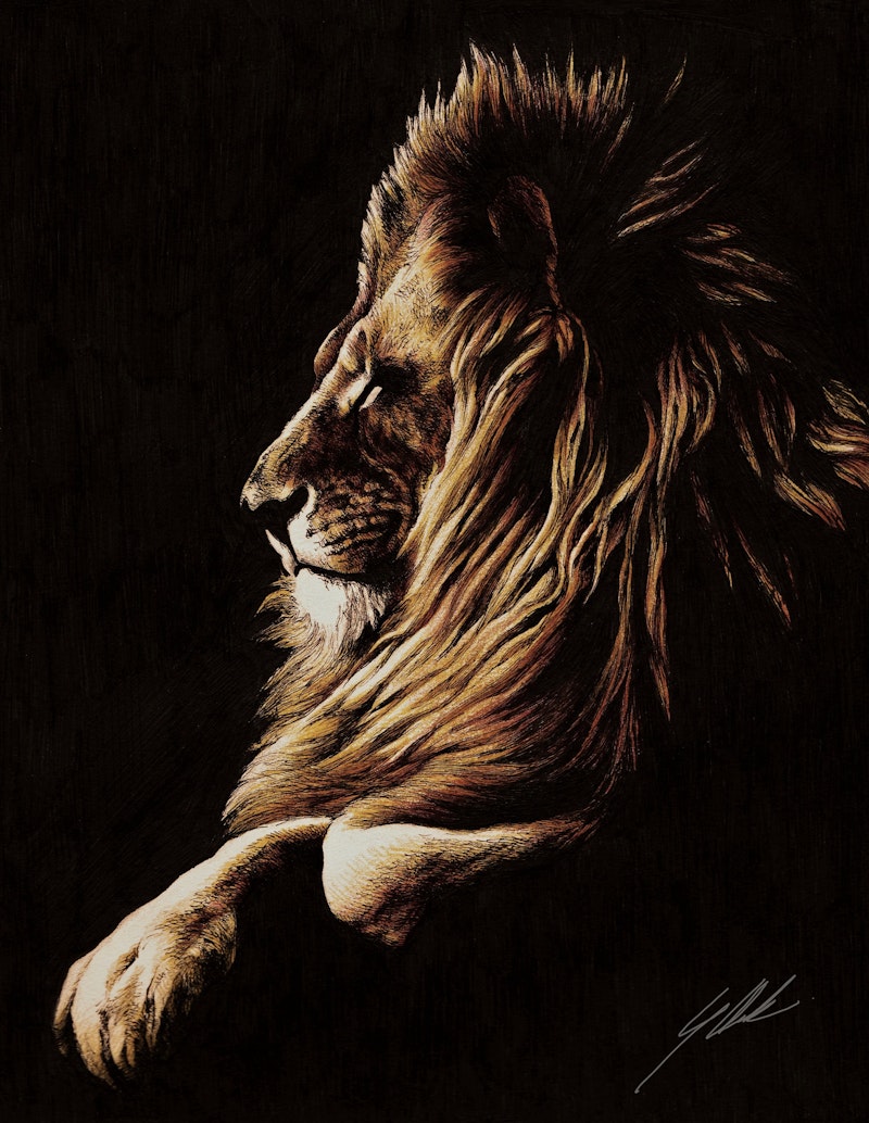 Lion Sketch by Justin Mark