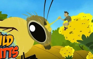 Image for Brown Bag Labs entry Learn About Bees with Wild Kratts in Flight of the Pollinators!