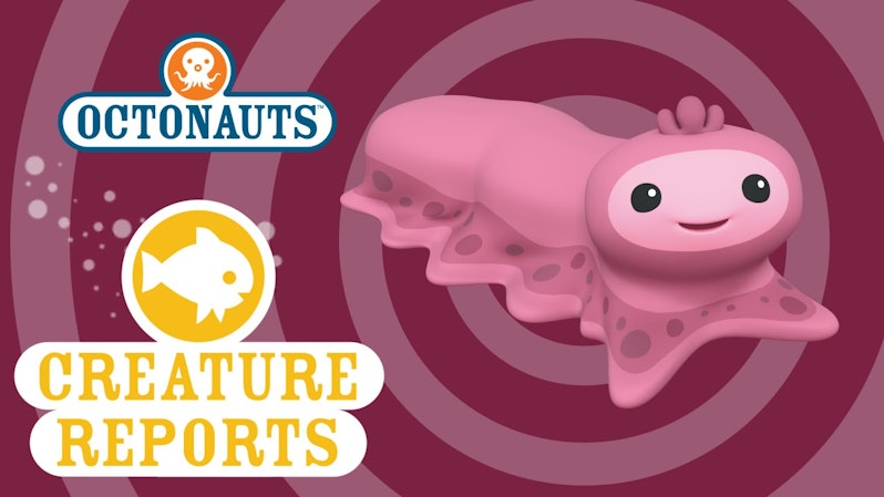 Octonauts: Creature Report - Snot Sea Cucumber - Brown Bag ...